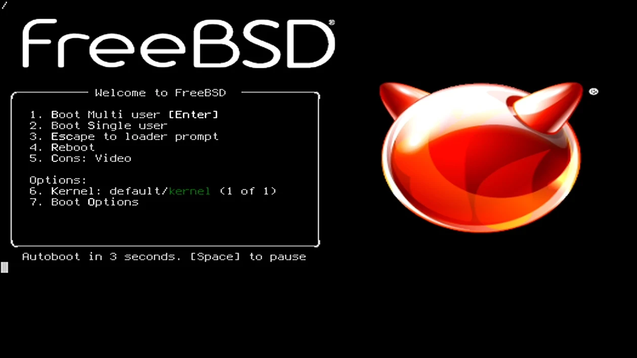 15.webp