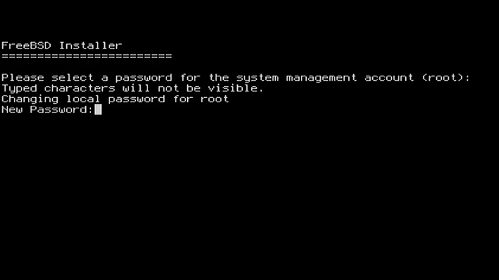 7.webp
